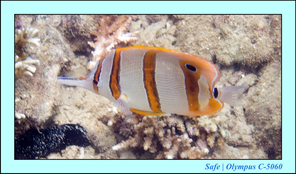 2006 - 07 - Gemia - Plongee solo 26